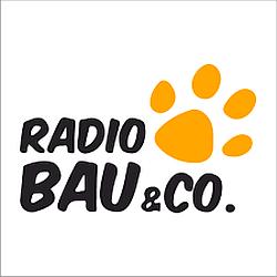 Virgin Radio Radio Bau