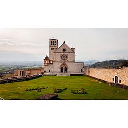 Antenna Web Armezano
